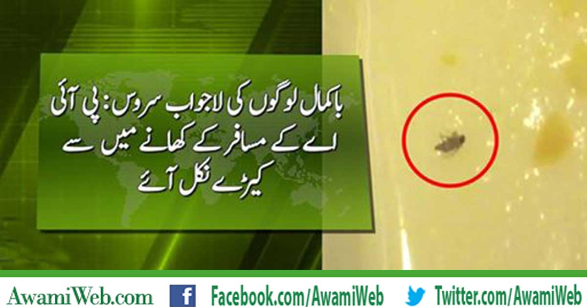 PIA Passenger Finds Worm in Meal