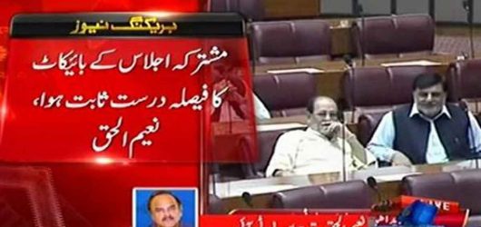 Naeem-ul-Haq Speaks Against Joint Session of Assembly