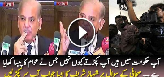 Reporter Asks Shahbaz Sharif to Take Action Against PTI Leaders