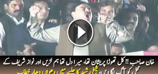 I Was Disappointed By Imran Khan’s Decision-Shaikh Rasheed