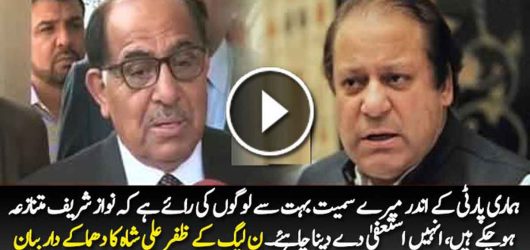 Zafar Ali Shah Says Prime Minister Nawaz Sharif Should Resign