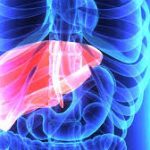 The Signs Which Indicate Of Liver Disease